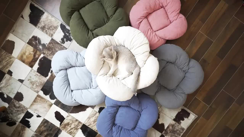 Padded Wooden Elevated Cat Bed Fluffy Pet Sofa Indoor Cat Lifting Lounge Chair with Hardware Tools Suitable for Puppies and Cats Furniture(Two Hemp Fish Are Included as a Gift.)