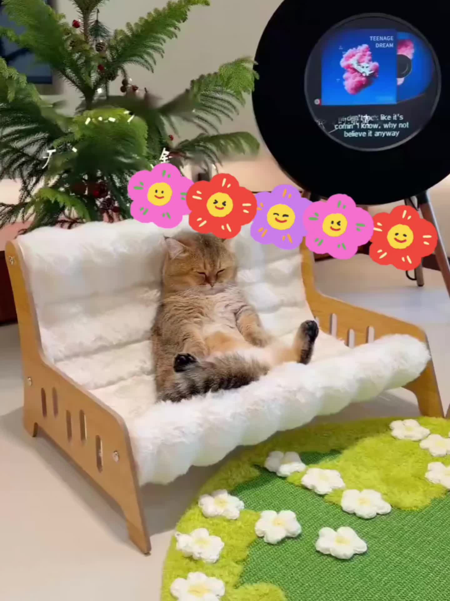 Cat Beds, Cat Sofa Beds, Wooden Cat Sofas, Booster Cat Chairs, Cat Habitats, Suitable for Cats And Dogs, Dog Beds, Pet Furniture, Plush Pet Beds, Suitable for Small to Medium-large Pet Furniture. Artistic Decorations, Washable Plush Mats.