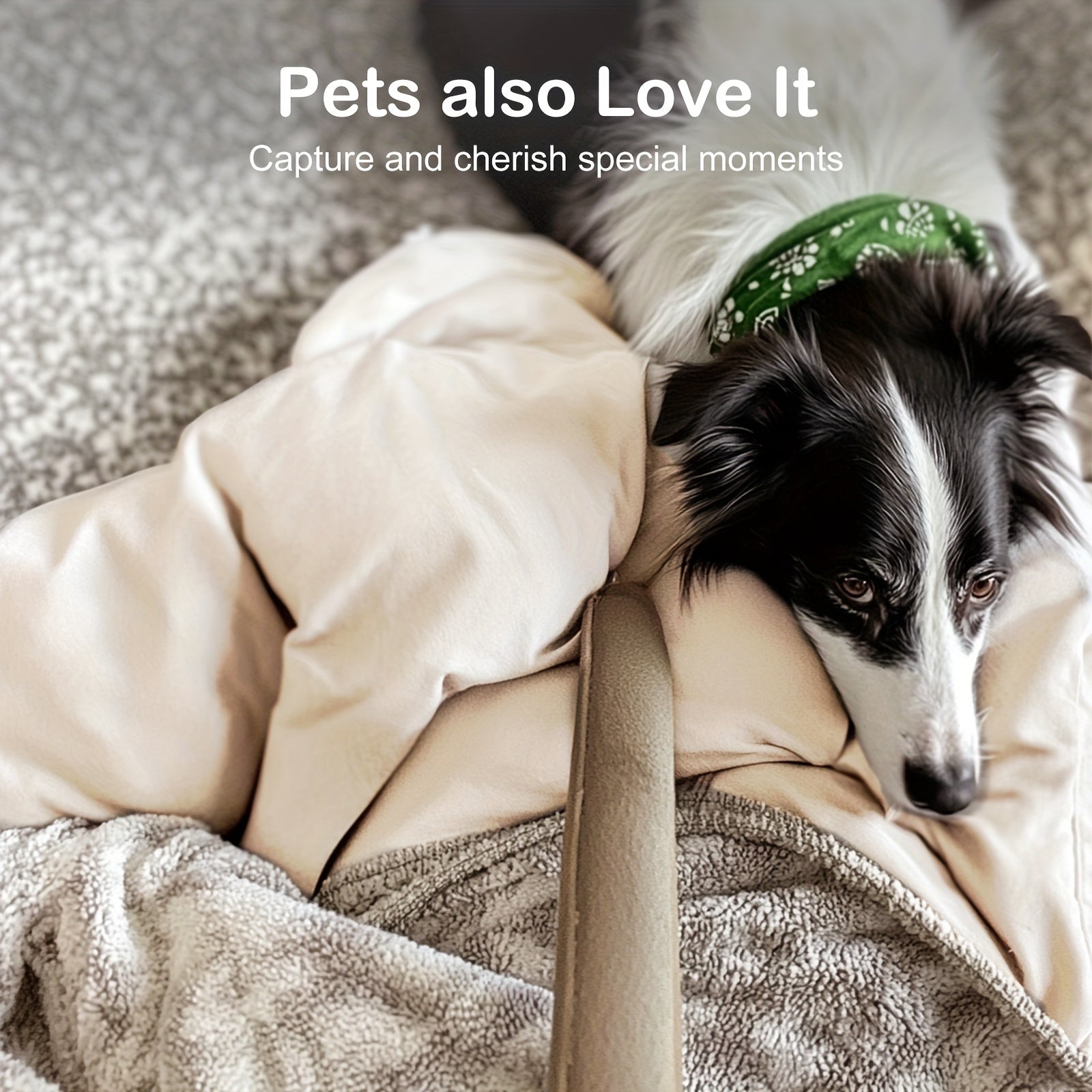 5-in-1 Thick & Plush Baby Gym, Baby Mats for Floor, Tummy Time Mat, Cat Bed, Dog Bed, Convertible Stage-Based Developmental From Baby to Toddler, Ball Pit, Pet Cushion Cloudico