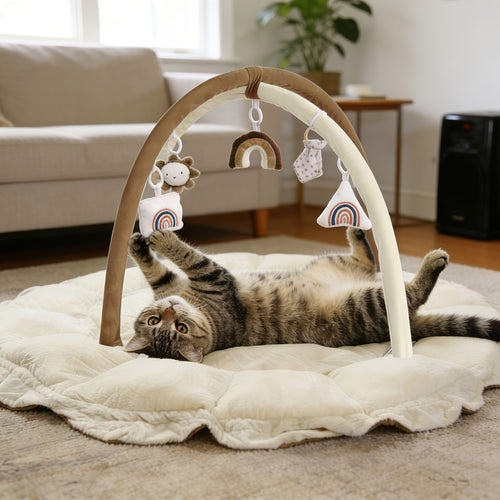 5-in-1 Thick & Plush Multi-Functional Cat & Dog Bed - Convertible Gym with Ball Pit, 6 Toys, Tummy Time Mat & Floor Mats | Plush Cushion Suitable for Kittens\u002FPuppies, Developmental Play & Rest